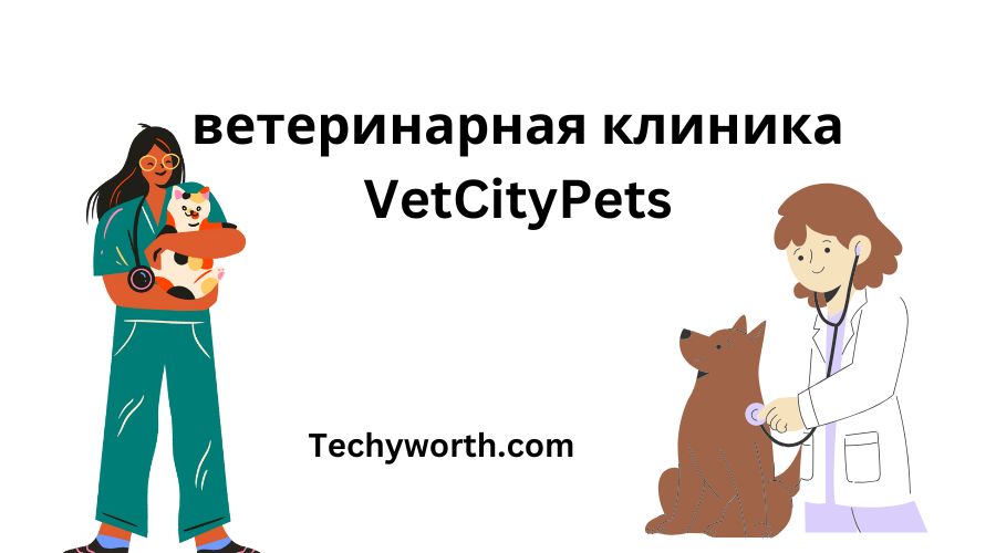 ветеринарная клиника VetCityPets